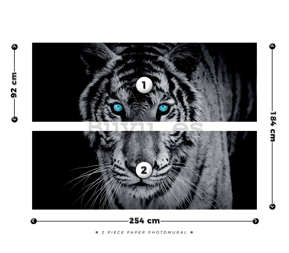 Fotomural: Tigre en blanco y negro - 184x254 cm