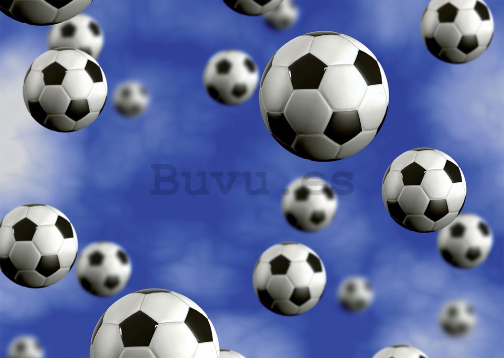 Fotomural: Balones de fútbol - 184x254 cm