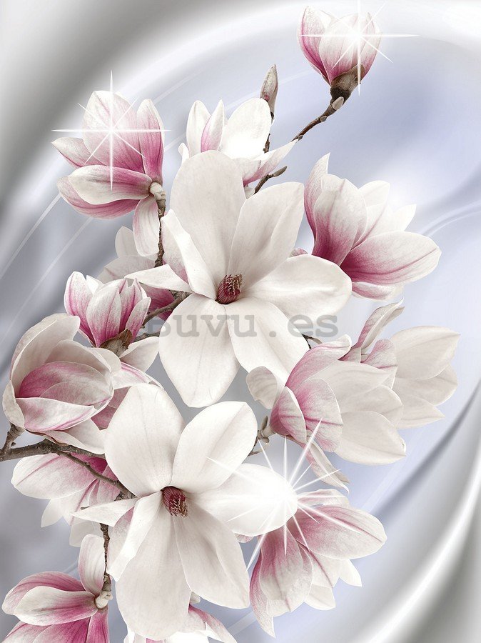 Fotomural: Magnolias (1) - 254x184 cm