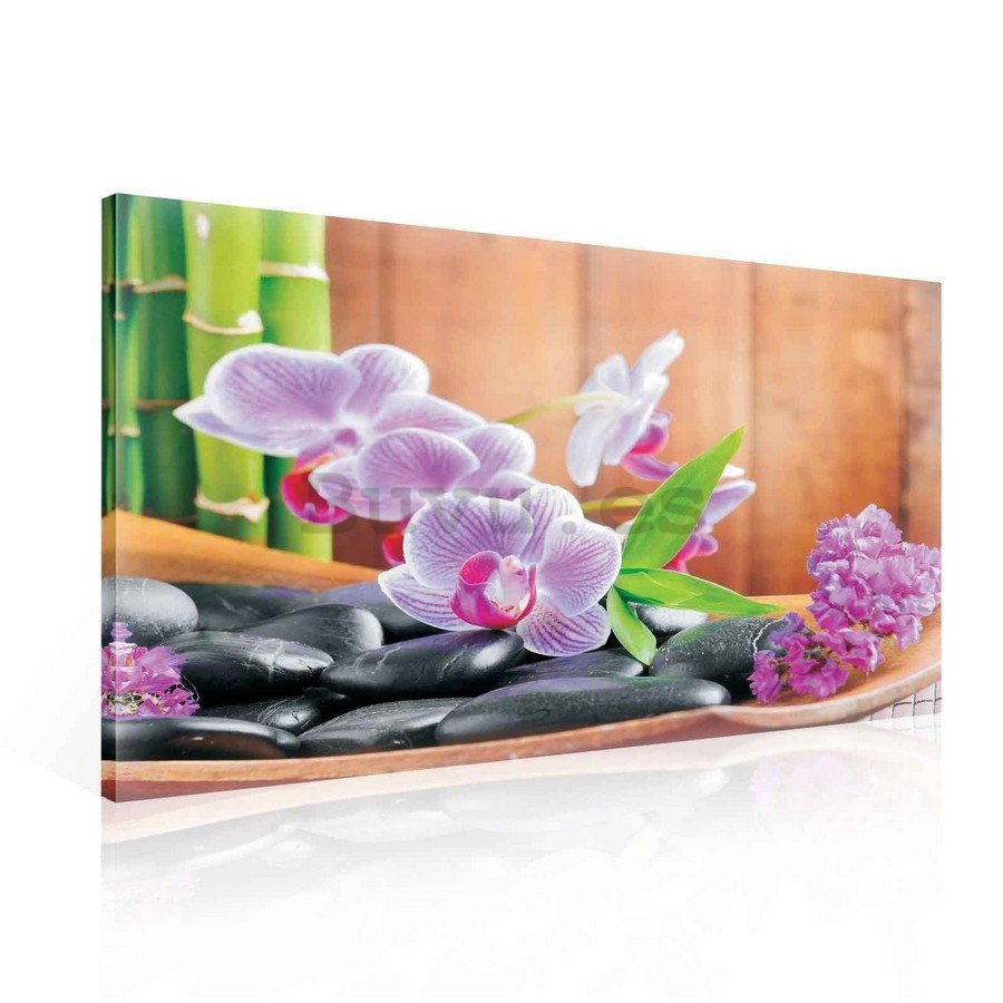 Cuadro sobre lienzo: Orquídea (1) - 75x100 cm