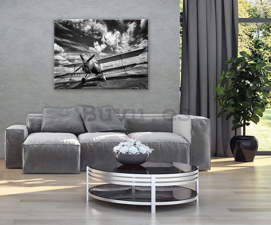 Cuadro sobre lienzo: Biplano (en blanco y negro) - 75x100 cm