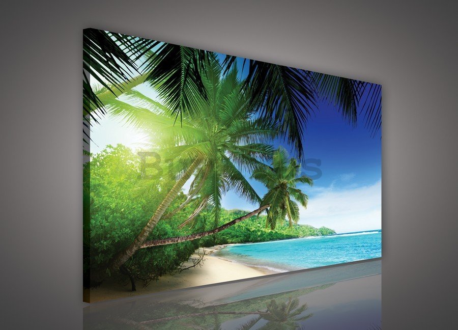 Cuadro sobre lienzo: Paraíso en la playa - 75x100 cm