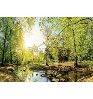 Cuadro sobre lienzo: Riachuelo forestal (3) - 75x100 cm