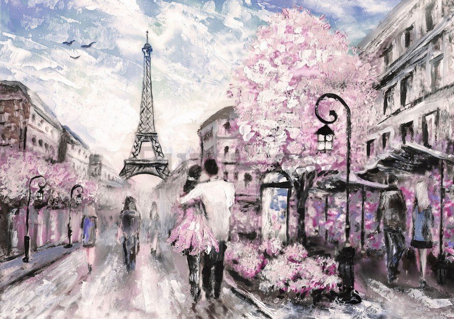 Fotomural TNT: París (pintado) - 254x368 cm