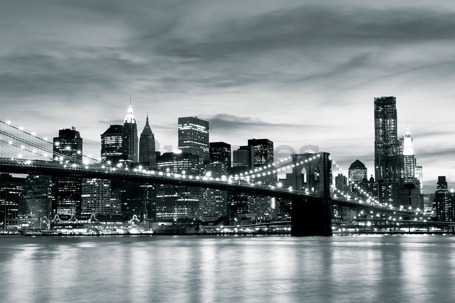 Fotomural TNT: Puente de Brooklyn (en blanco y negro) - 184x254 cm