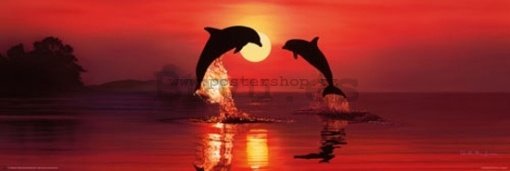 Póster - Lassen dolphin dawn (2)