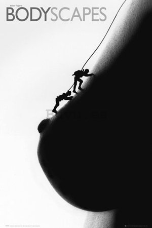 Póster - Bodyscape climbers