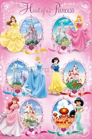 Póster - Disney princess castles