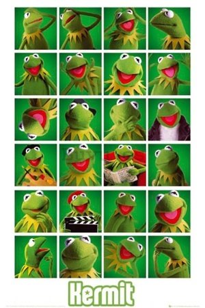 Póster - The Muppets kermit collage
