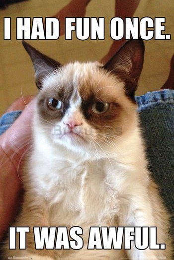 Póster - Grumpy Cat