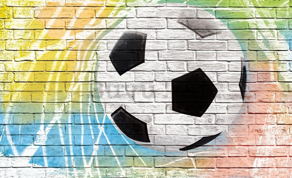 Fotomural: Balón de fútbol (pintado) - 254x368 cm