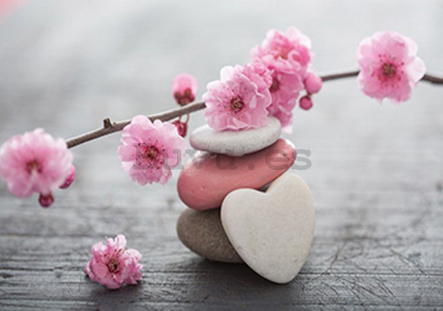 Fotomural: Cerezo en flor y corazón - 184x254 cm