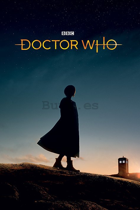 Póster - Doctor Who (New Dawn)