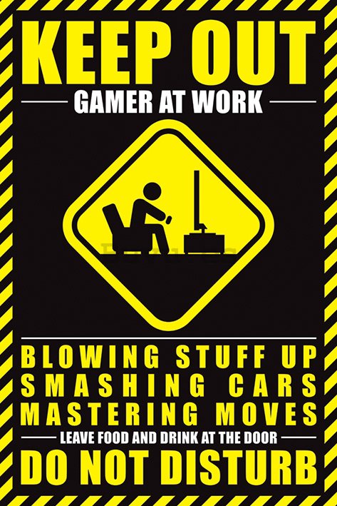 Póster - Keep Out, Gamer at Work