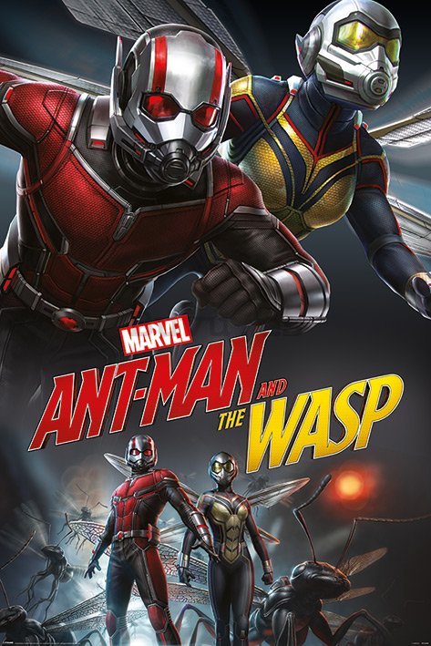 Póster - Ant-Man and the Wasp (Dynamic)