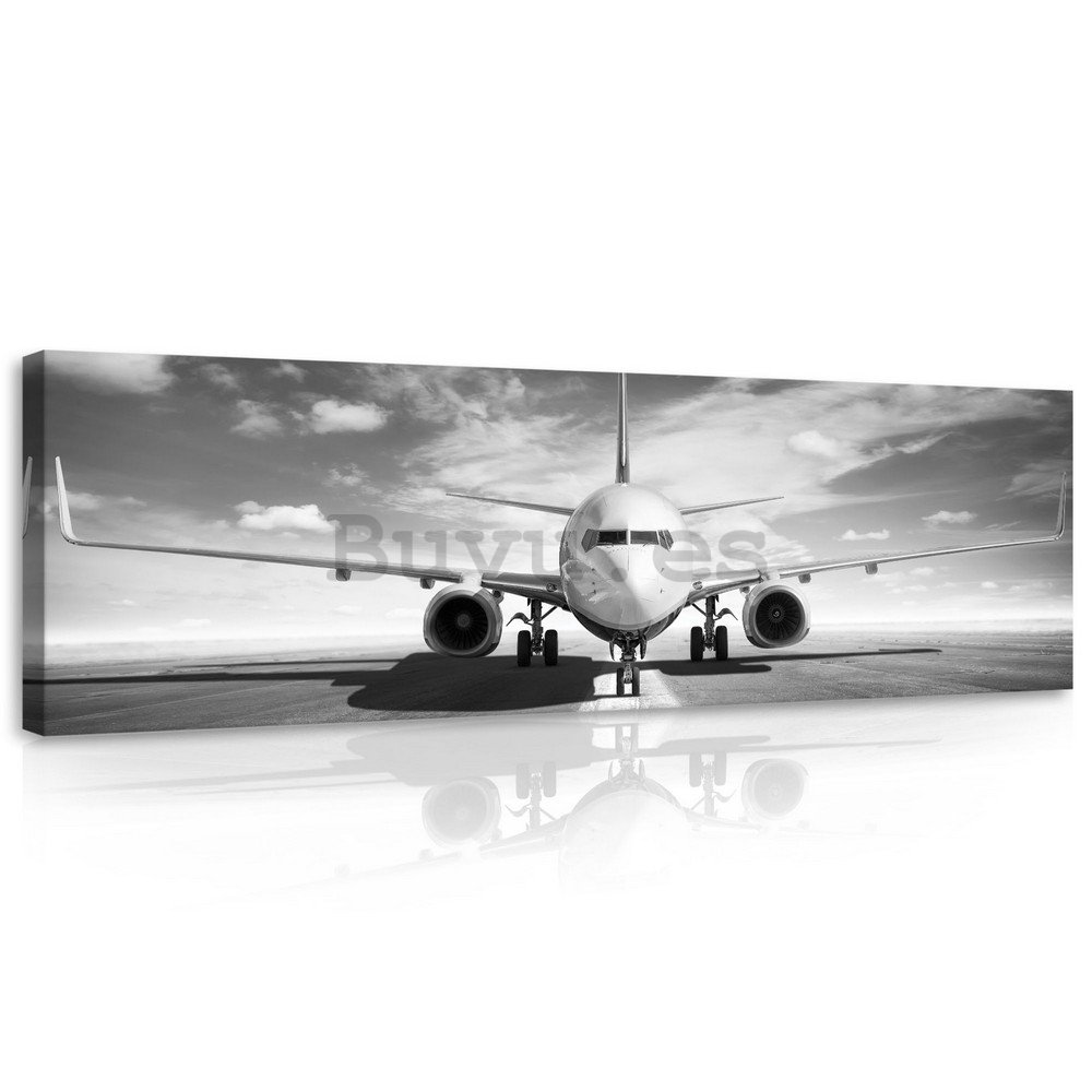Cuadro sobre lienzo: Avión de propulsión (en blanco y negro) - 145x45 cm