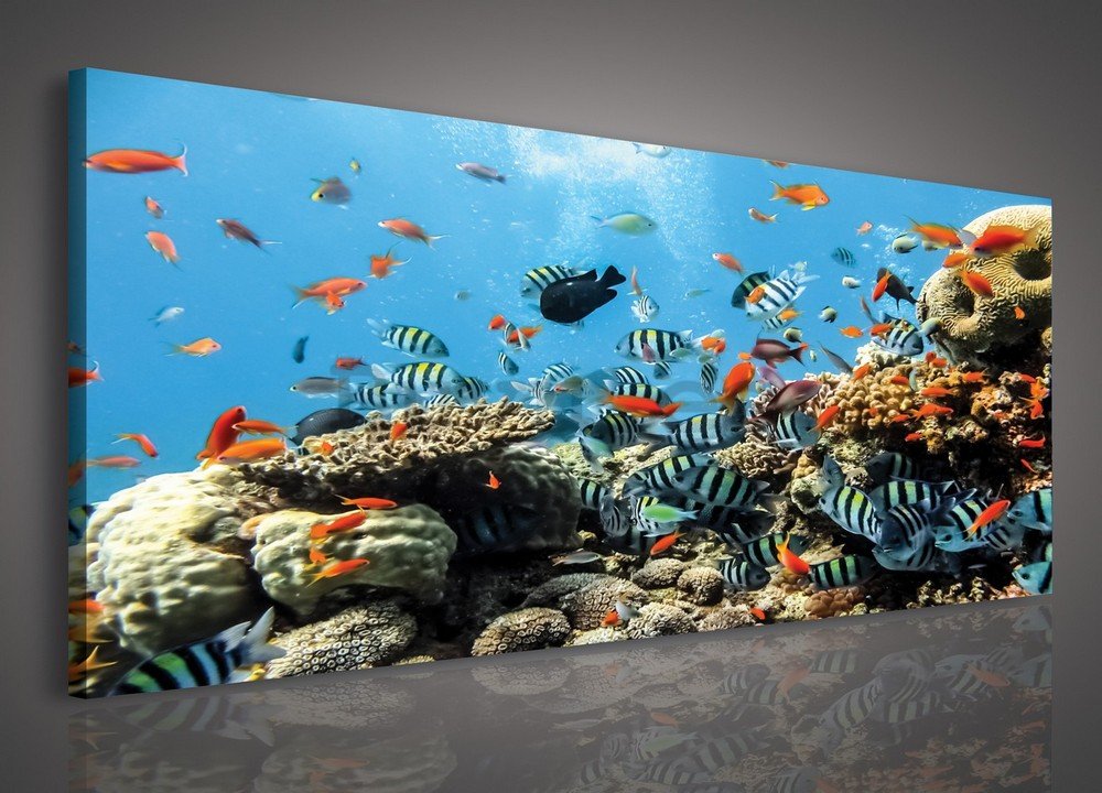 Cuadro sobre lienzo: Arrecife de coral - 145x45 cm