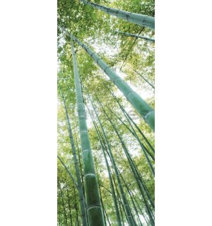 Fotomural: Bosque de bambú - 211x91 cm