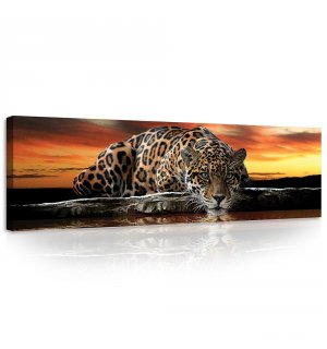 Cuadro sobre lienzo: Jaguar - 145x45 cm