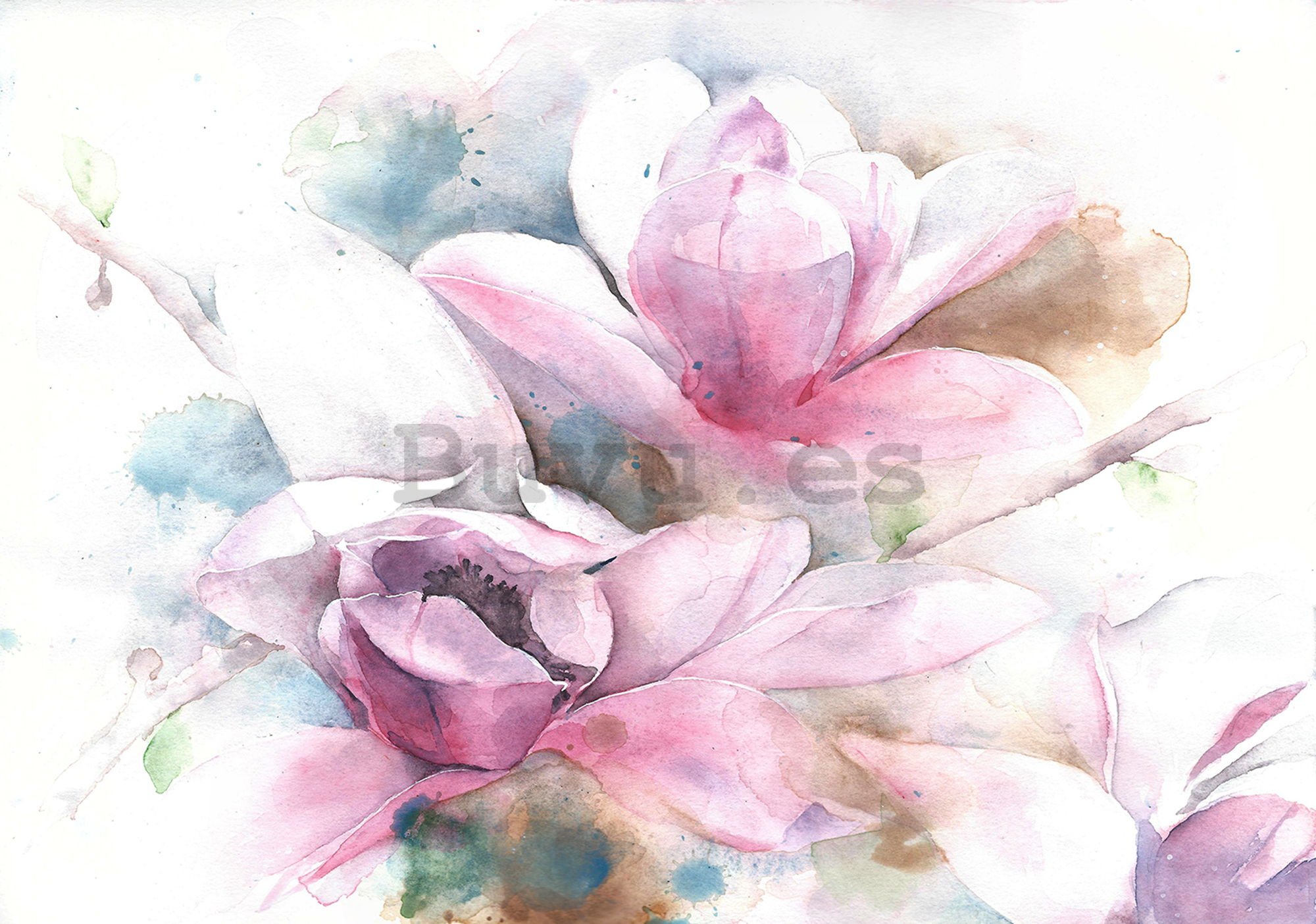 Fotomural TNT: Magnolias (pintadas) - 104x152,5 cm