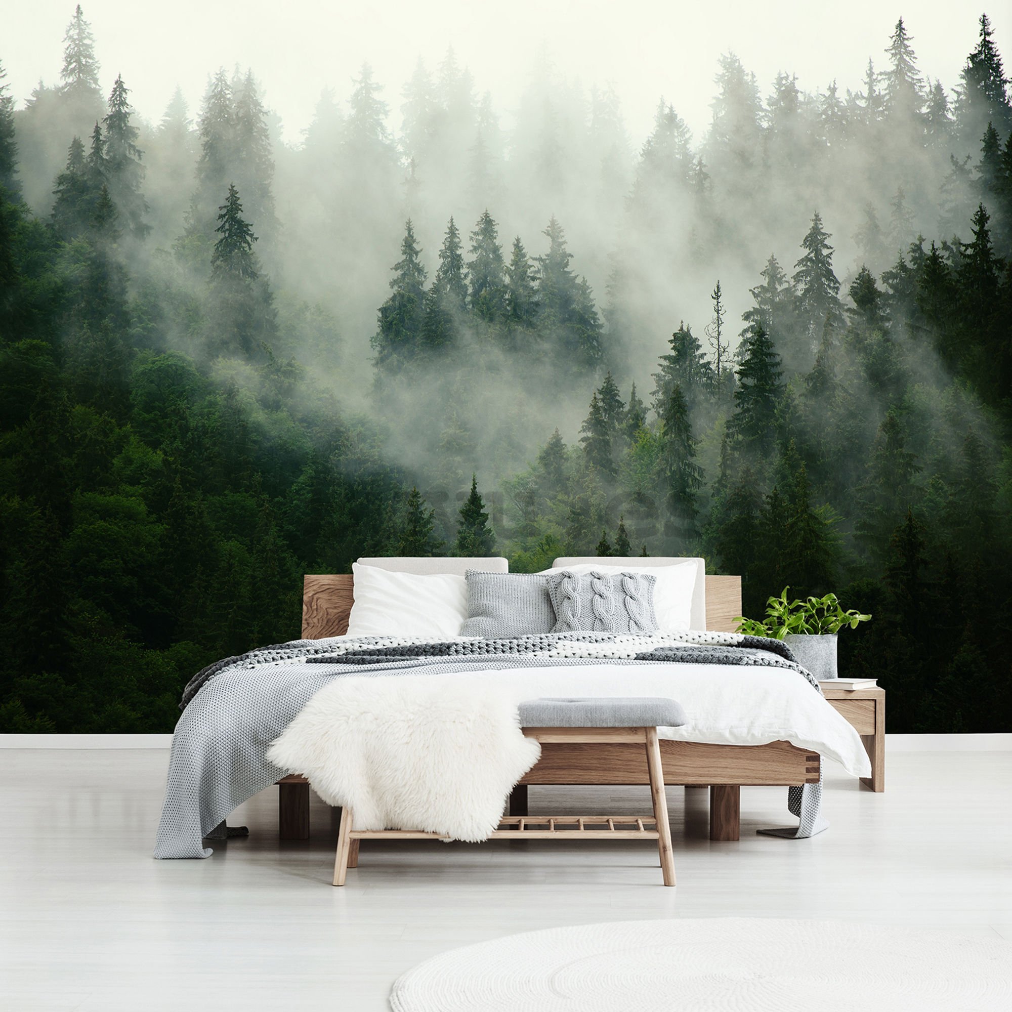Fotomural: Niebla sobre el bosque (1) - 184x254 cm