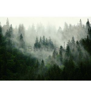 Fotomural TNT: Niebla sobre el bosque (1) - 254x368 cm