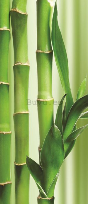 Fotomural: Bambú - 211x91 cm