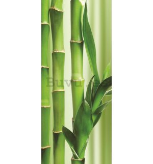 Fotomural: Bambú - 211x91 cm