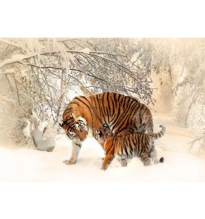 Fotomural TNT: Tigres (1) - 184x254 cm