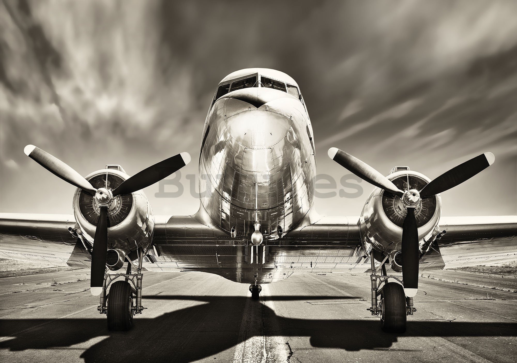 Fotomural TNT: Avión (en blanco y negro) - 416x254 cm