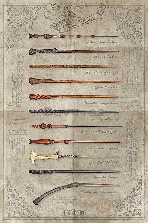 Póster - Harry Potter (The Wand Chooses The Wizard)