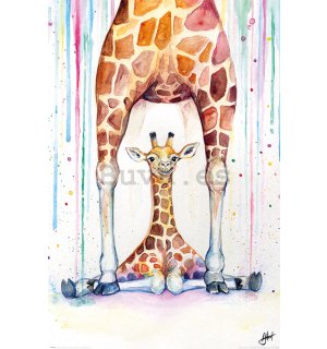 Póster - Gorgeous Giraffes, Marc Allante