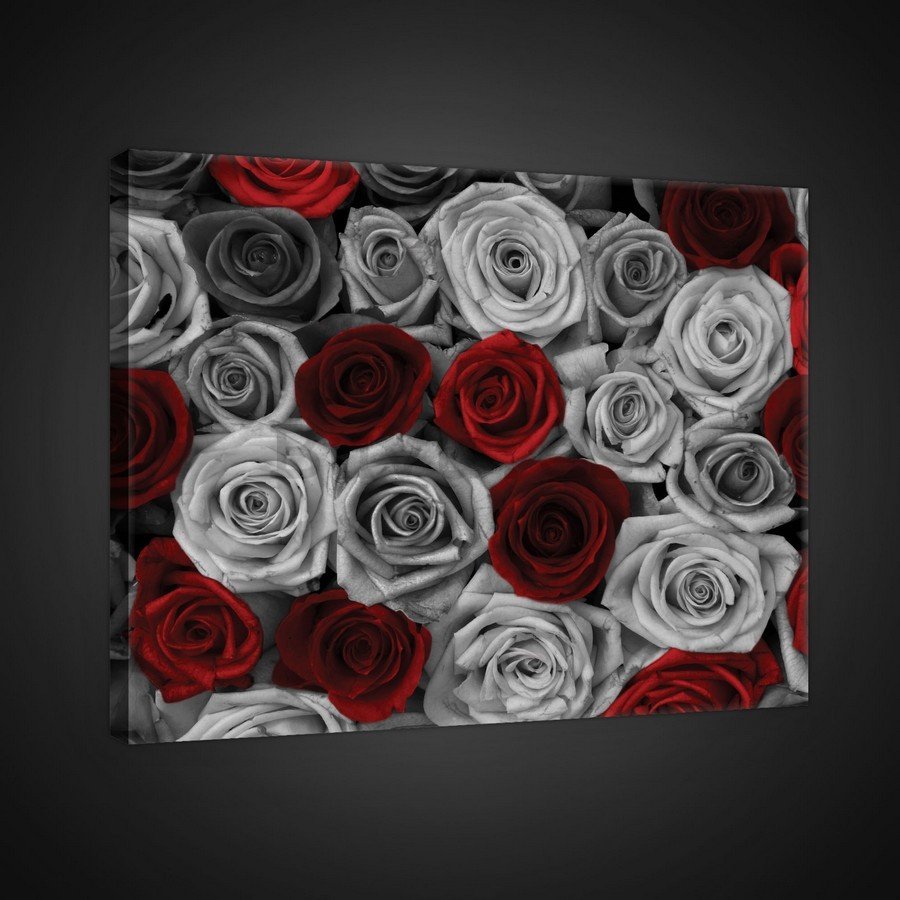 Cuadro sobre lienzo: Rosas blancas y rojas (1) - 75x100 cm
