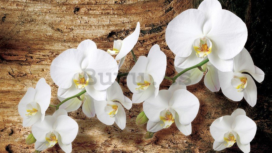 Cuadro sobre lienzo: Orquídeas en madera - 75x100 cm