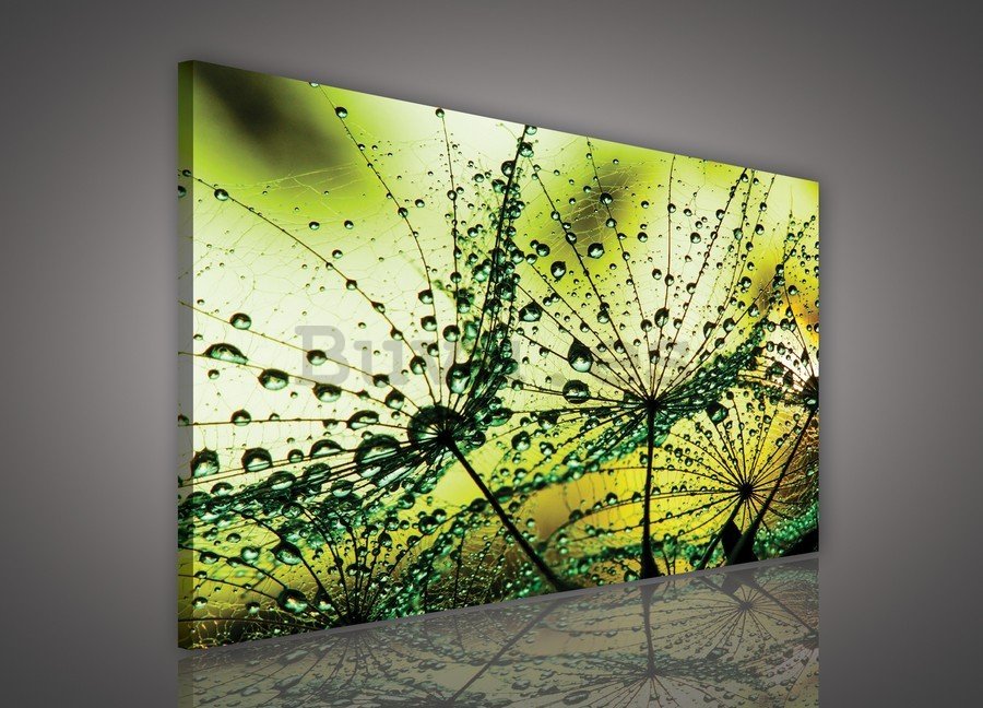 Cuadro sobre lienzo: Gota de lluvia (2) - 75x100 cm