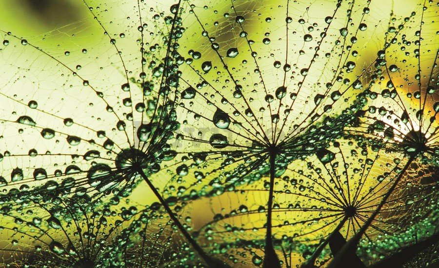 Cuadro sobre lienzo: Gota de lluvia (2) - 75x100 cm