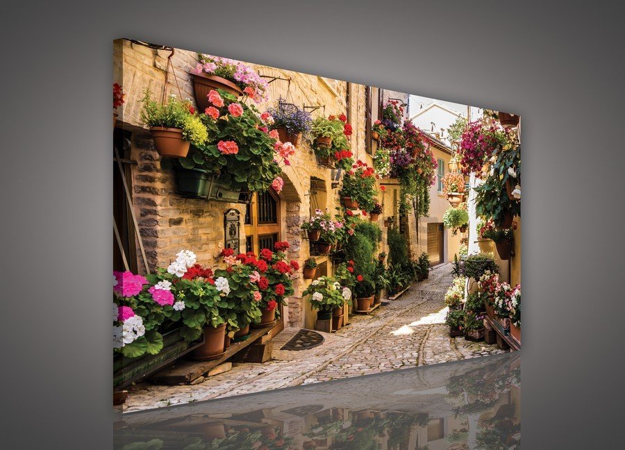 Cuadro sobre lienzo: Callejuela con flores - 75x100 cm