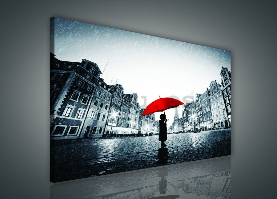Cuadro sobre lienzo: En la lluvia - 75x100 cm