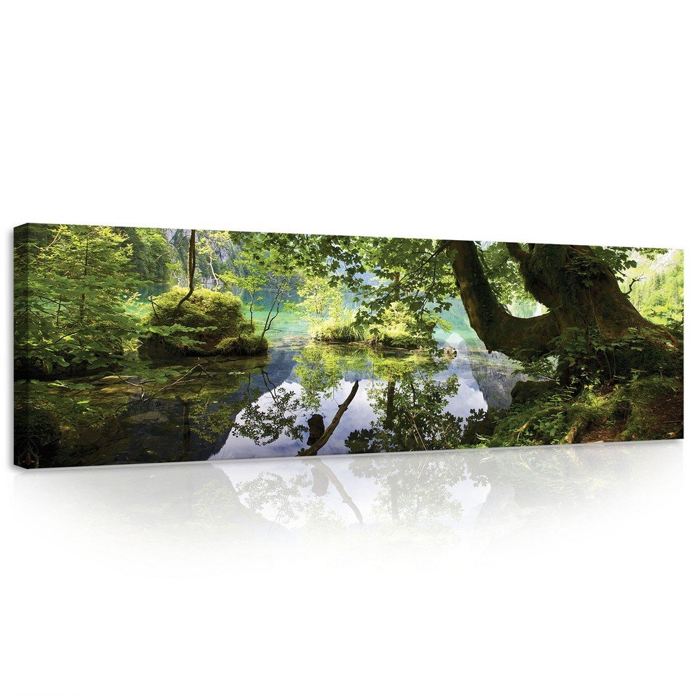 Cuadro sobre lienzo: Remanso forestal - 145x45 cm