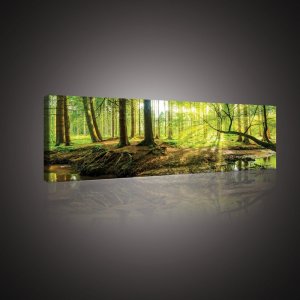 Cuadro sobre lienzo: Bosque ripario - 145x45 cm