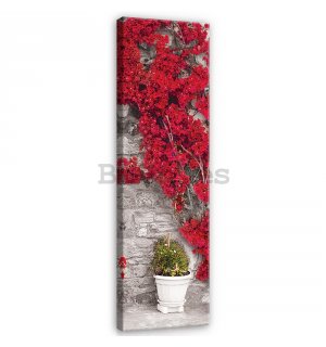 Cuadro sobre lienzo: Pared floral roja - 145x45 cm