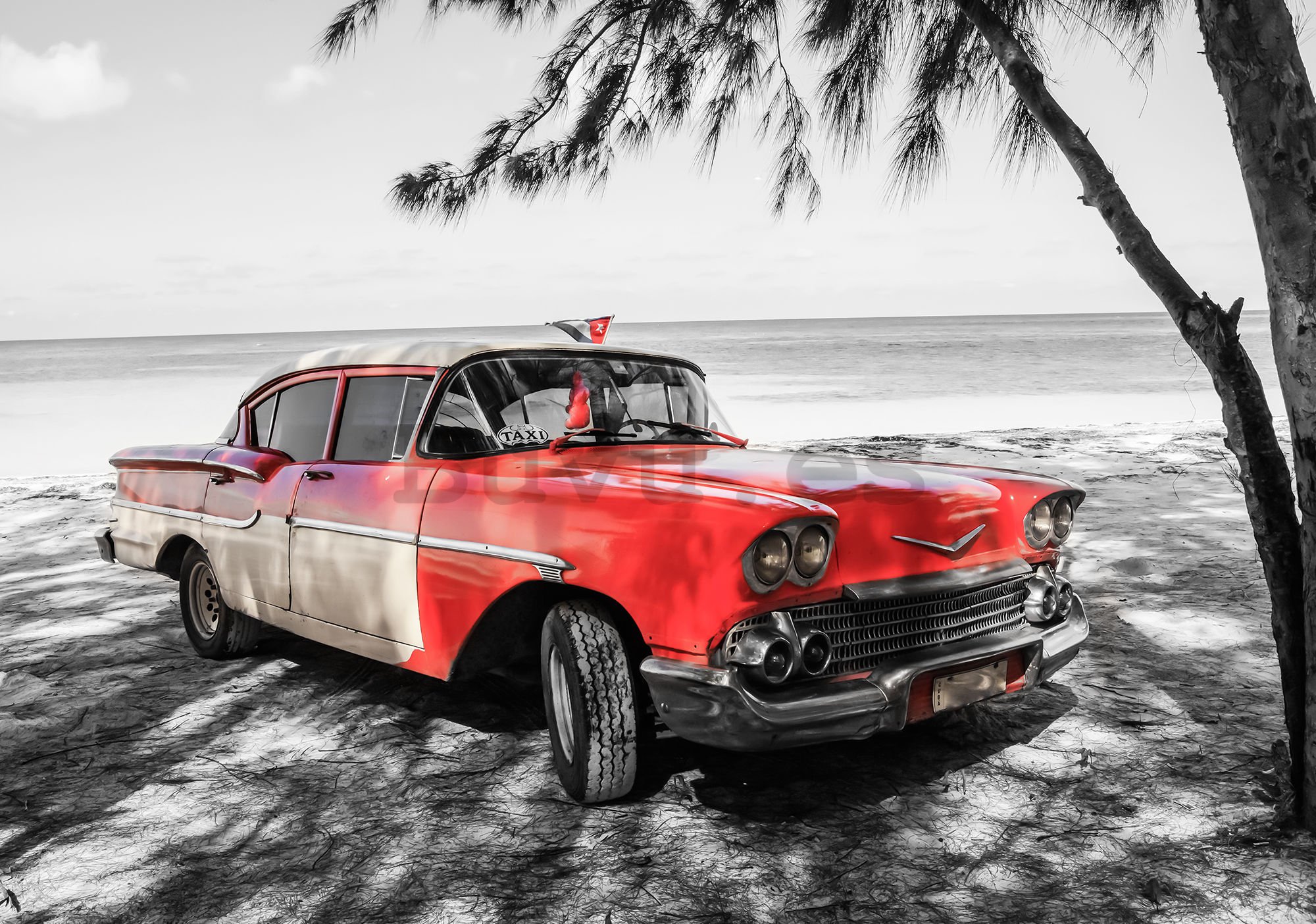 Fotomural TNT: Cuba coche rojo junto al mar - 184x254 cm
