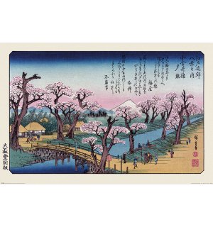 Póster - Hiroshige (Mount Fuji, Koganei Bridge)