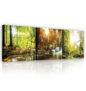 Cuadro sobre lienzo: Riachuelo forestal (1) - set 3pcs 25x25cm