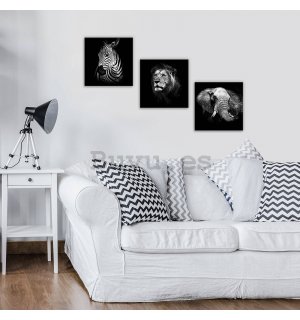 Cuadro sobre lienzo: Animales en blanco y negro (1) - set 3pcs 25x25cm