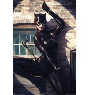 Póster - Catwoman (Spot Light)