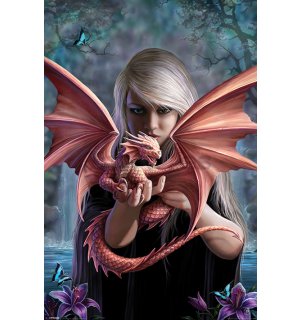 Póster - Anne Stokes, Dragonkin