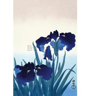 Póster - Ohara Koson, Iris Flowers
