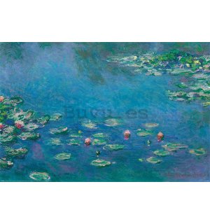 Póster - Claude Monet, Nenúfares