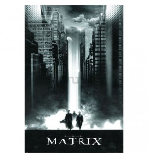 Póster - The Matrix (Lightfall)